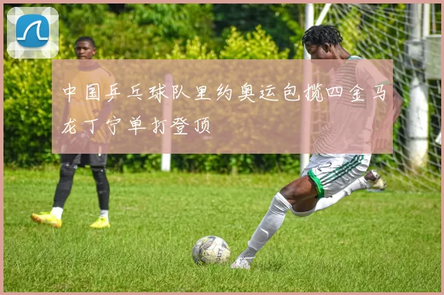 中国乒乓球队里约奥运包揽四金马龙丁宁单打登顶