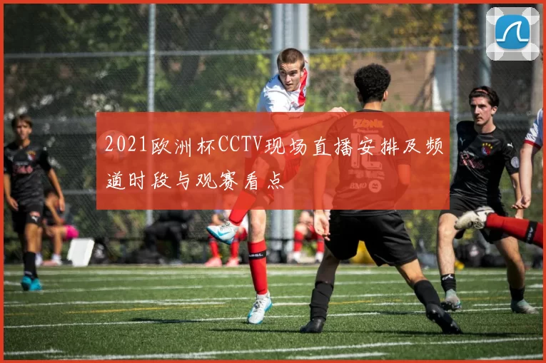 2021欧洲杯CCTV现场直播安排及频道时段与观赛看点