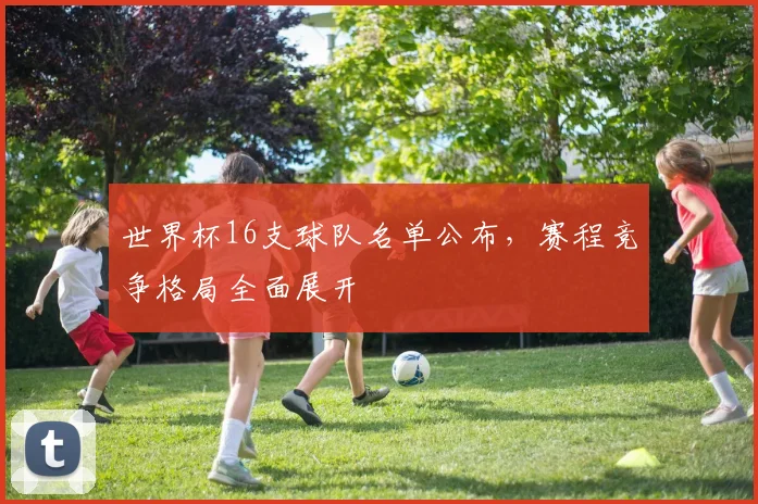 世界杯16支球队名单公布,赛程竞争格局全面展开