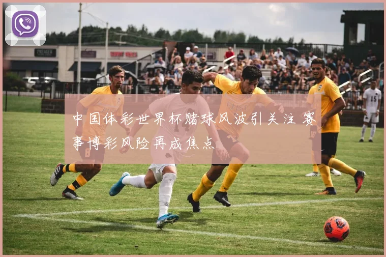 中国体彩世界杯赌球风波引关注 赛事博彩风险再成焦点