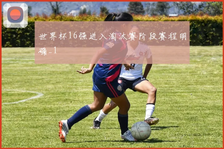 世界杯16强进入淘汰赛阶段赛程明确_1