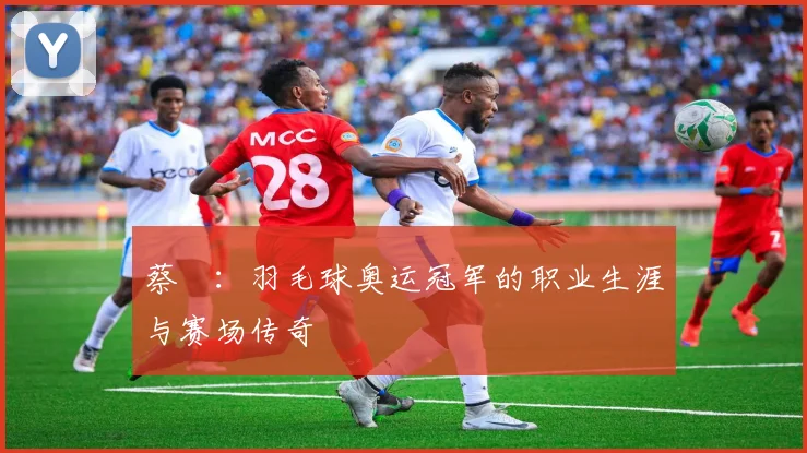 蔡赟:羽毛球奥运冠军的职业生涯与赛场传奇