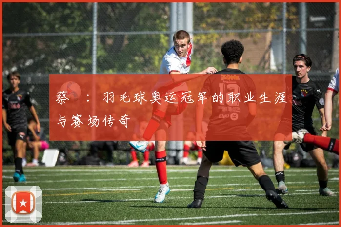 蔡赟:羽毛球奥运冠军的职业生涯与赛场传奇